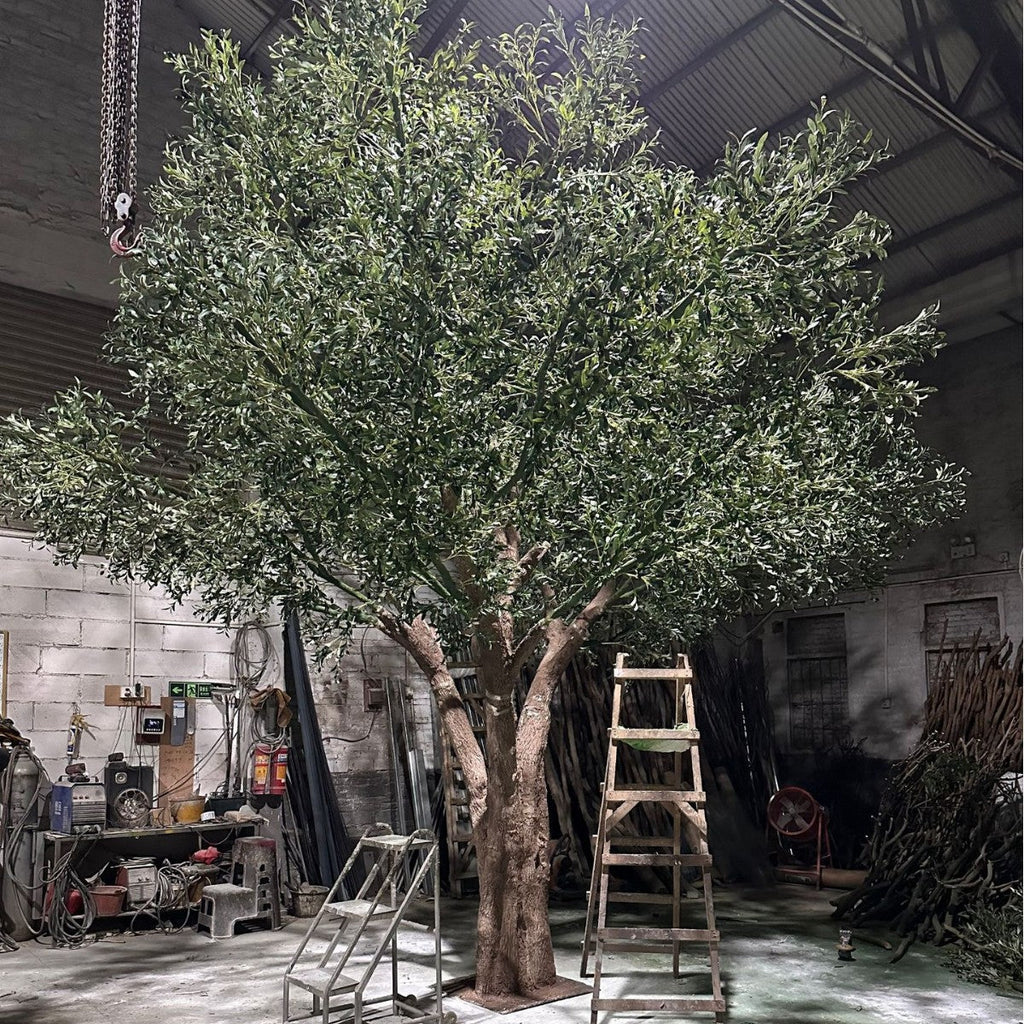 Faux olive tree 16.5ft (5m) tall in a Nordic style, on a moulded fibreglass trunk