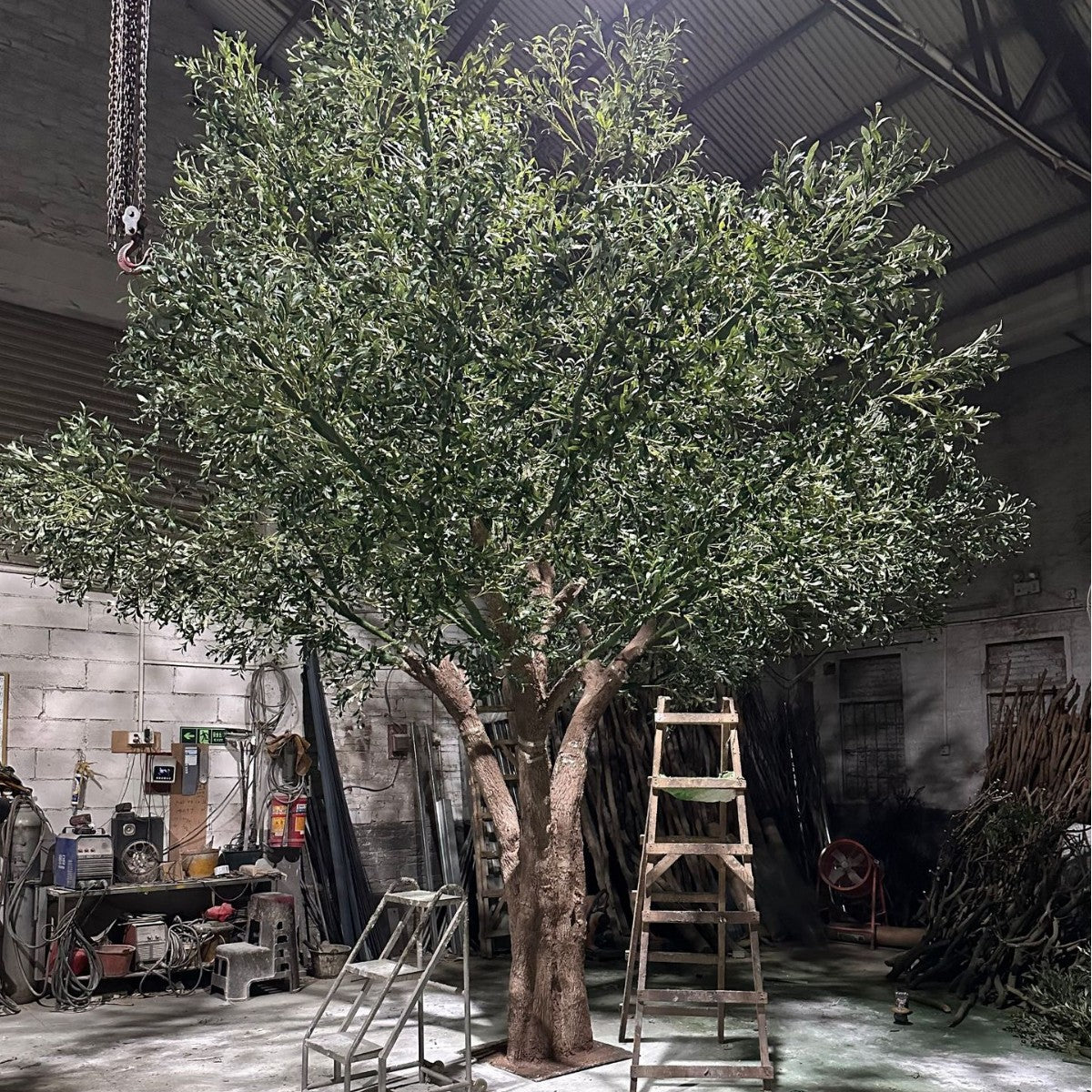 Faux olive tree 16.5ft (5m) tall in a Nordic style, on a moulded fibreglass trunk