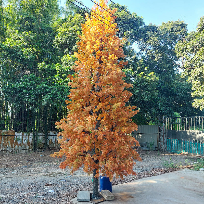 Branch tiers of the cedar tree seen from the side, opening out in layers