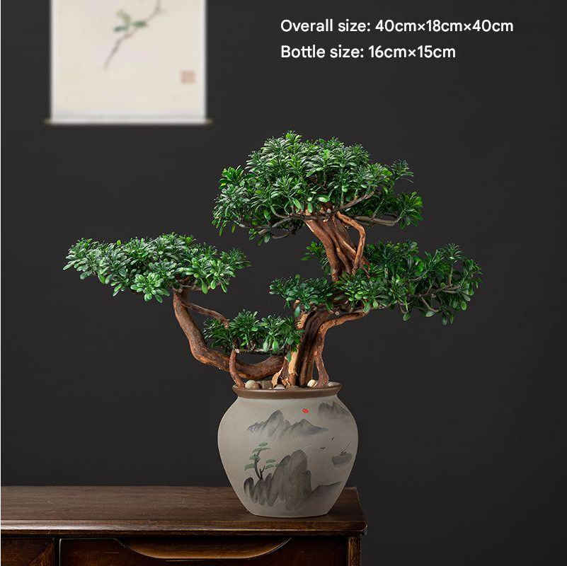 The green pine bonsai set on a windowsill in bright indoor daylight