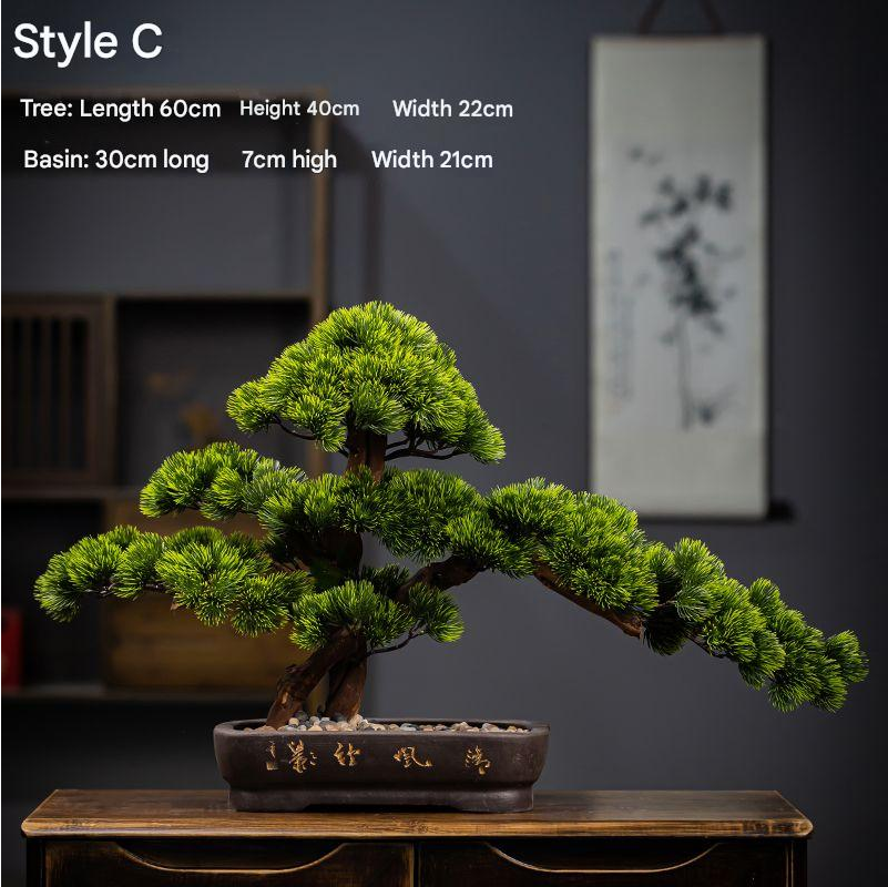 The sculpted trunk of the 4ft bonsai curving up out of its display pot