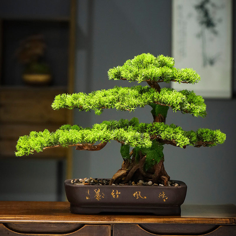 Moulded bark texture running up the full length of the 3ft pine bonsai trunk
