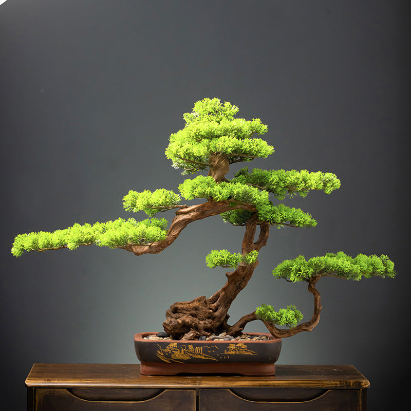 The moss and stone finish across the potting surface of the 4ft bonsai