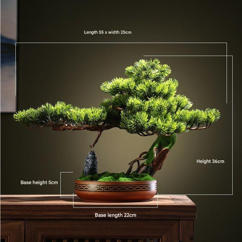 Close-up of the bonsai pine needles clustered along one trained branch