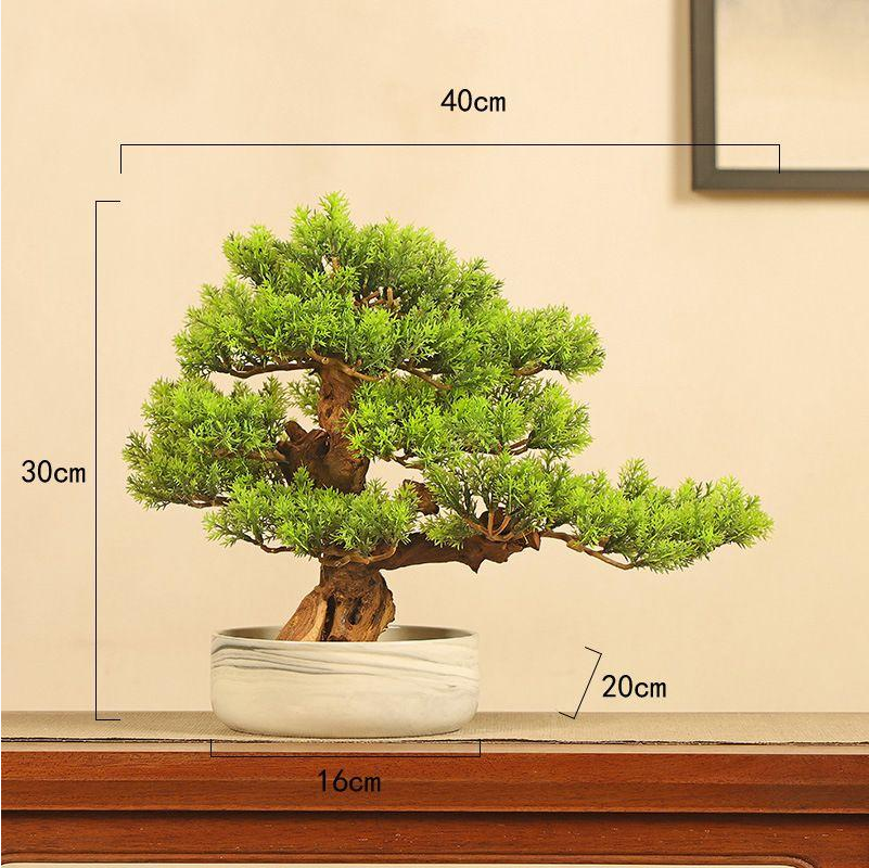 The 2ft bonsai ornament set on a desk as a piece of green decoration