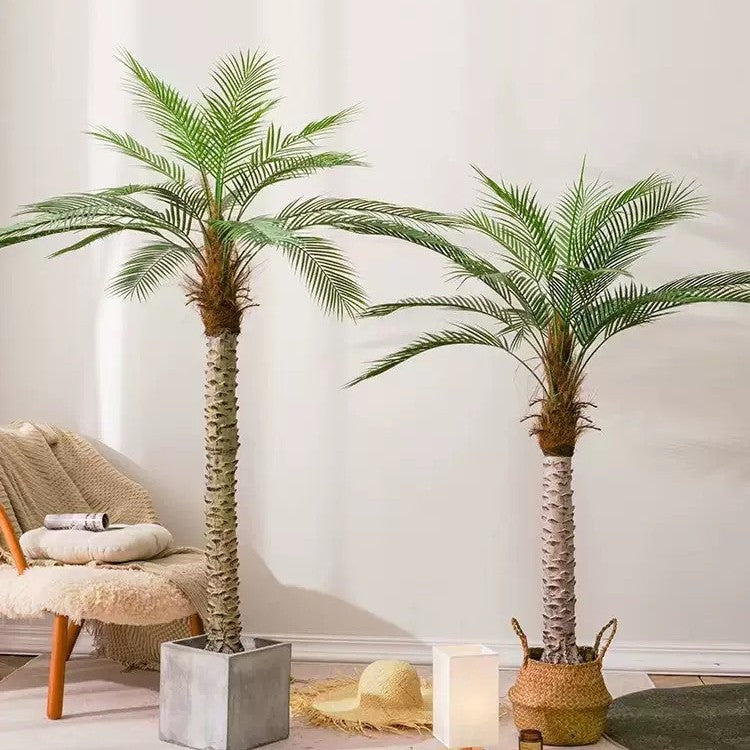 Close-up of the areca fronds showing the fine leaflets along each yellow-green rib