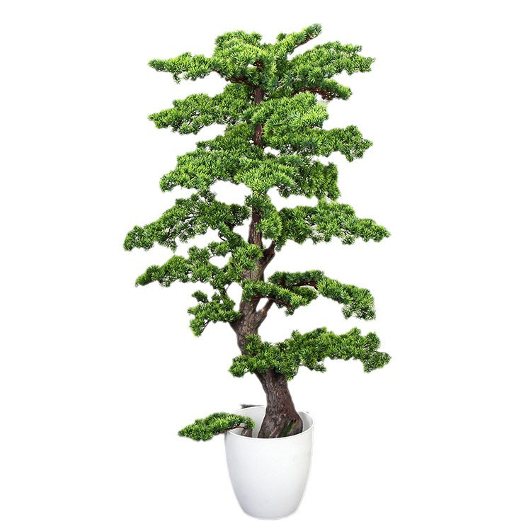 Base and pot of the 1.6m welcome pine, ready to sit inside a decorative planter