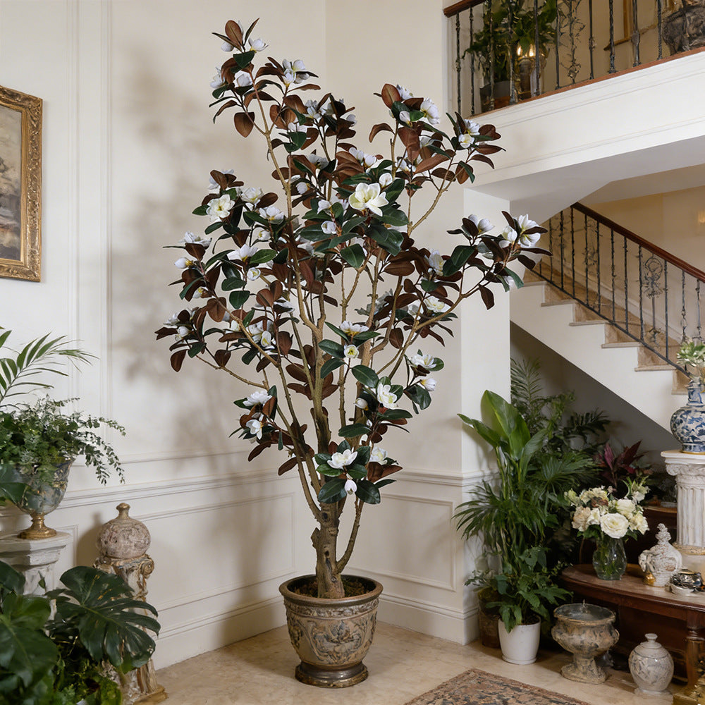 The 10.5ft magnolia tree in a hall entrance beside a set of double doors