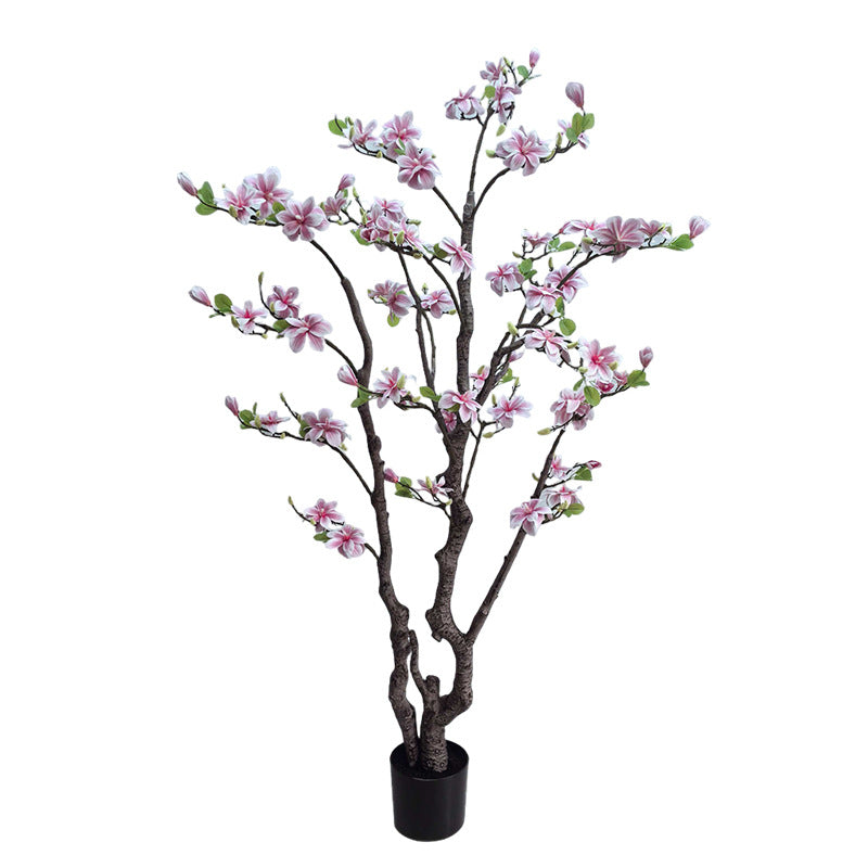 The potted magnolia used as flowering greenery in a styled photo backdrop