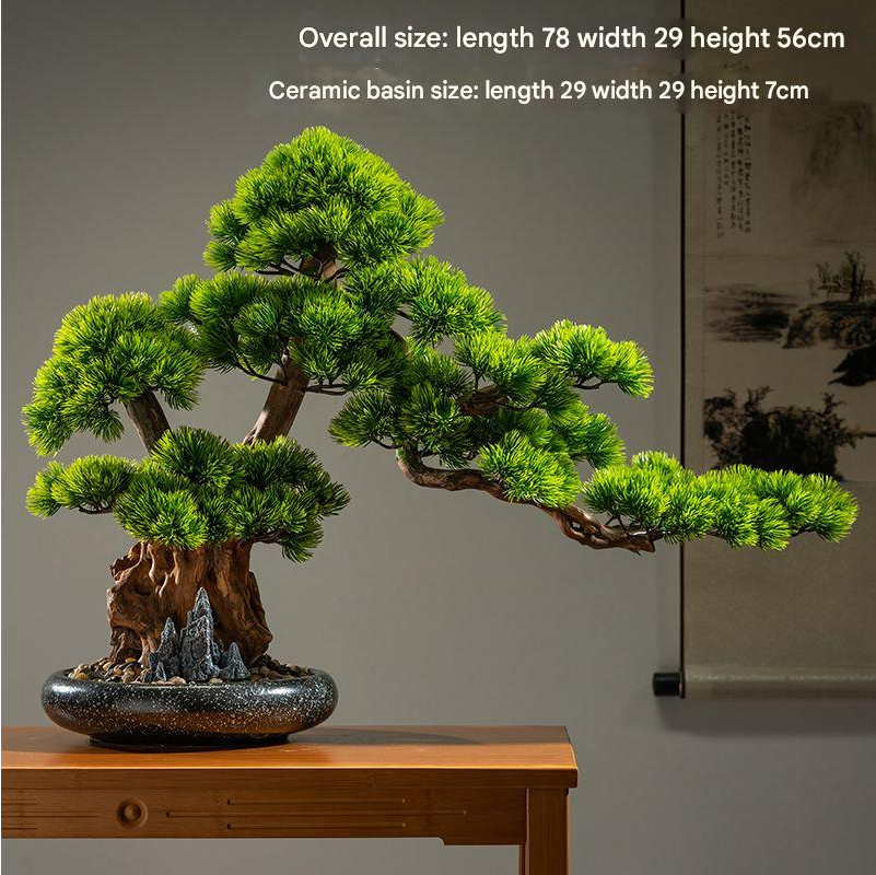 The upper foliage pads of the cypress layered one above the other