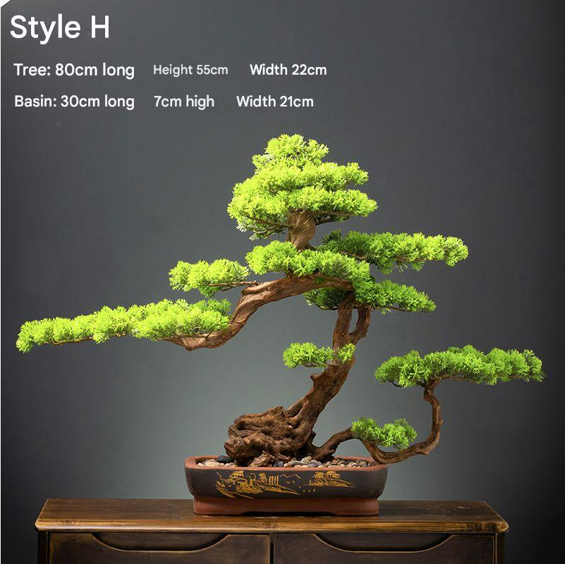 Close-up of a branch pad meeting the sculpted trunk of the 4ft bonsai