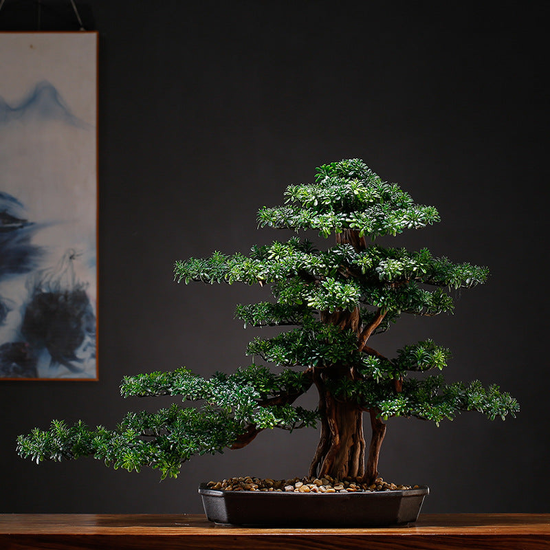 The topmost branch pad crowning the bonsai tree, seen from close up