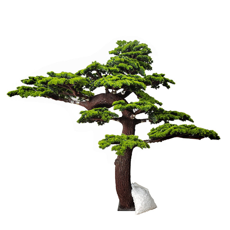 The pine plant used as an indoor display beside a hotel reception desk