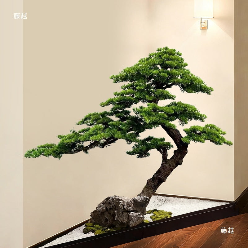 The faux pine used as a background plant on a livestream filming set indoors