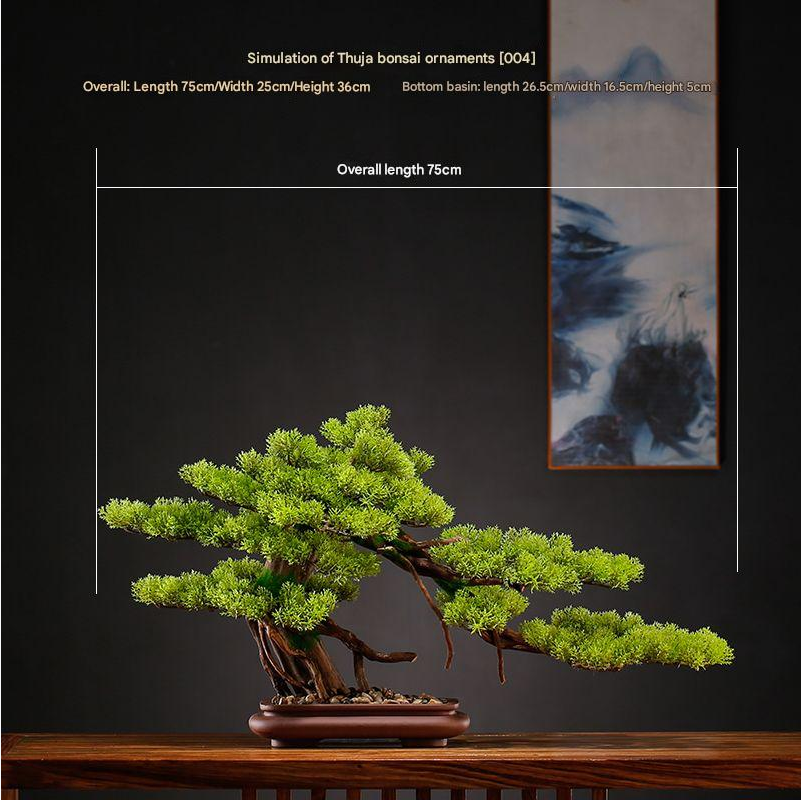 The pine bonsai standing on a windowsill in bright indoor daylight