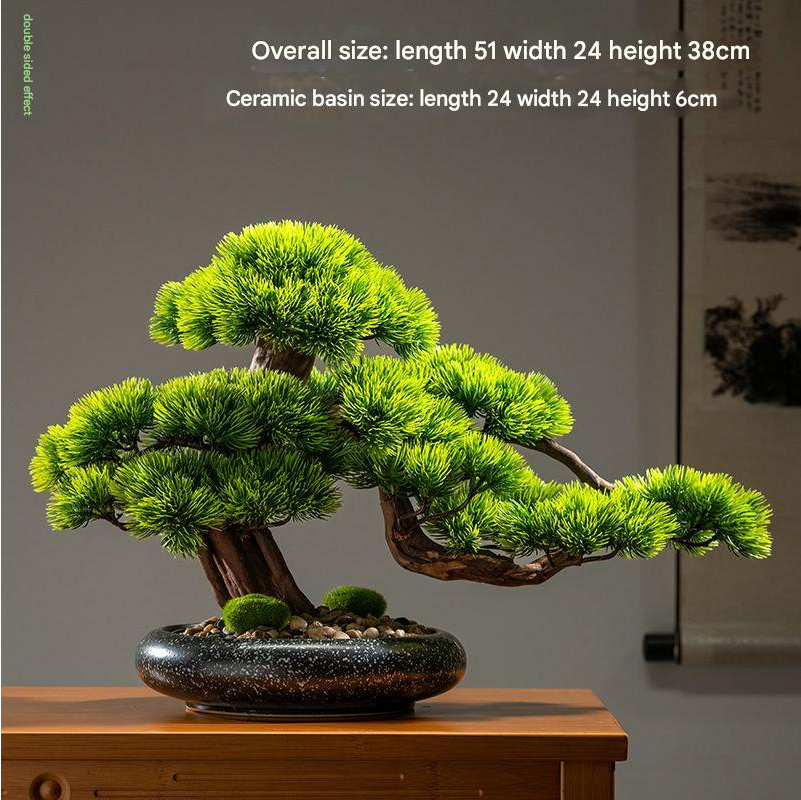 The cliff cypress standing beside a hotel entrance as a landscape piece