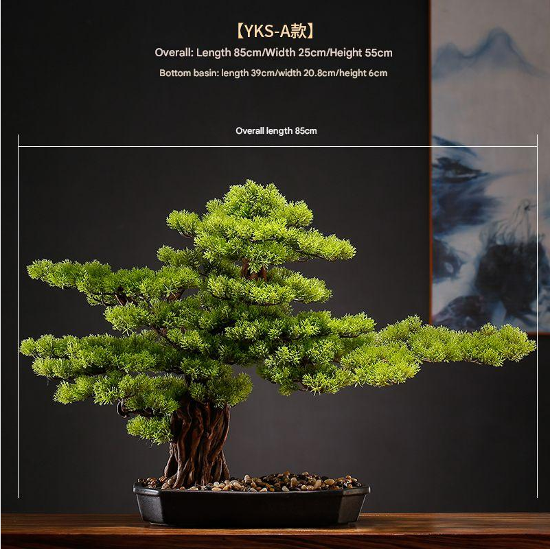 Close-up of the point where a branch pad meets the bonsai's sculpted trunk