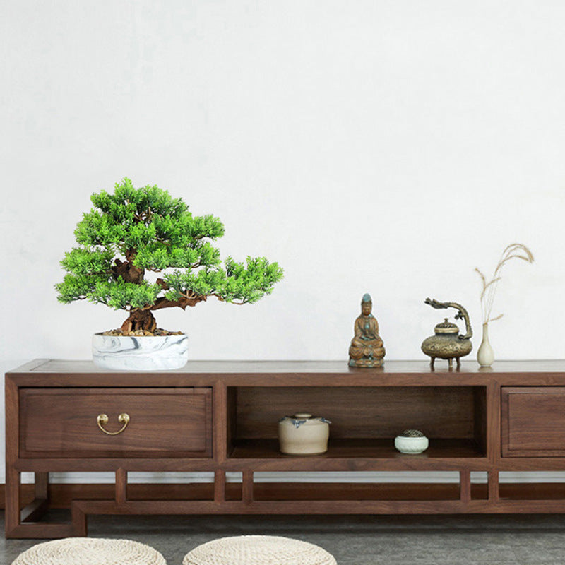 The small bonsai shown beside a hand to give a sense of its size