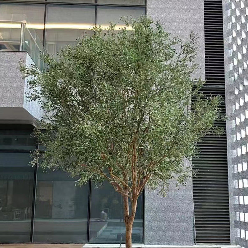 Close-up of the olive leaves showing the two-tone silver-green colouring