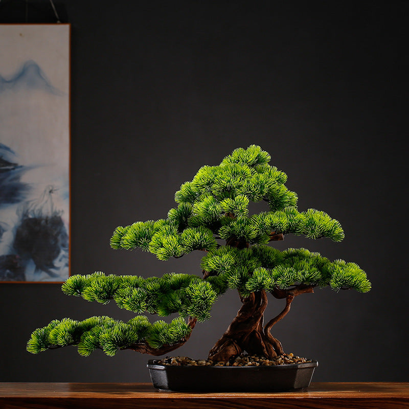 Needle tips of the bonsai foliage, fine and slightly splayed at the ends