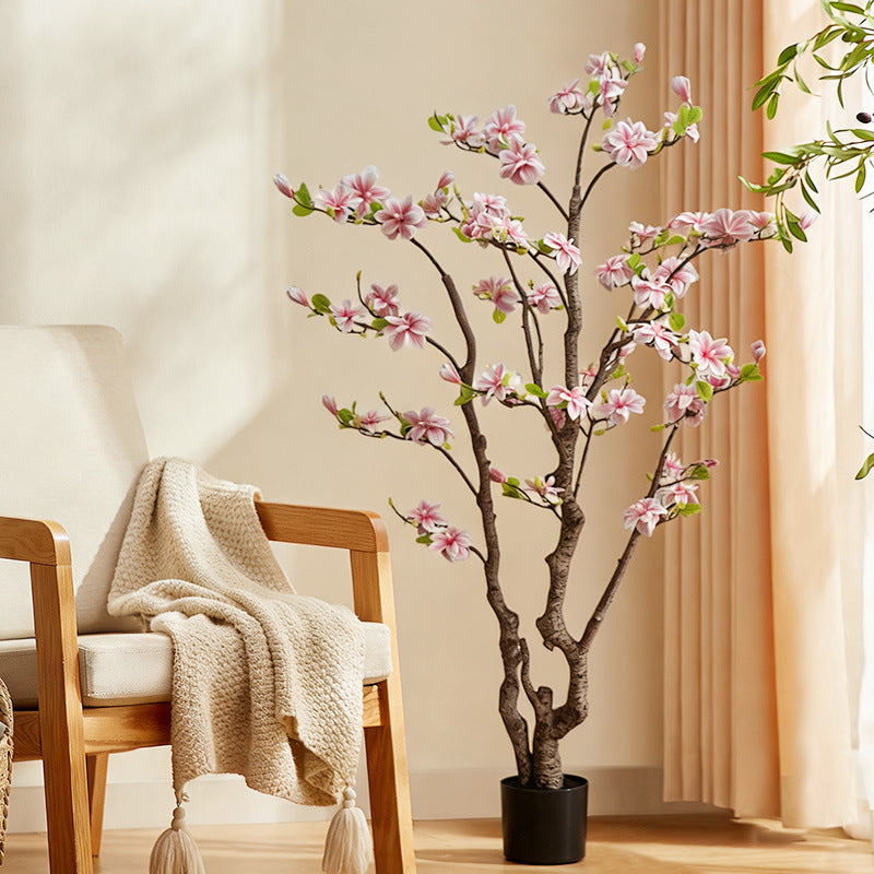 The trunk of the 180cm magnolia tree rising from its potted floor base