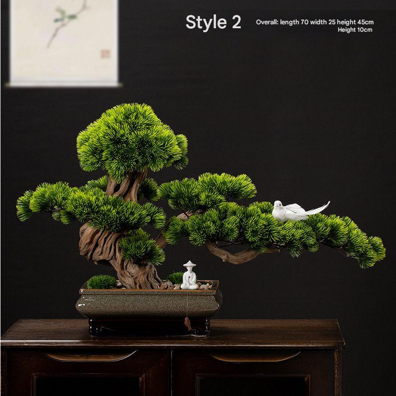 The pot rim and moss surface at the base of the 3ft welcome pine