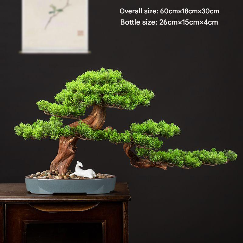 The lowest branch pad reaching out well beyond the rim of the pot