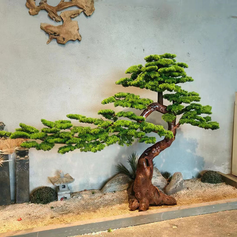 Close-up of the luohan pine needles, long and narrow along each green shoot