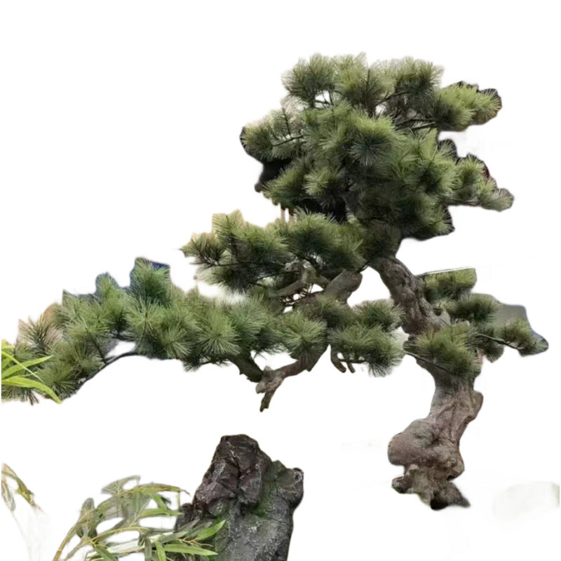 The faux welcome pine used as a photo prop against a plain wedding backdrop