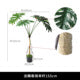 Tall faux monstera floor plant with broad split leaves, standing in a plain nursery pot