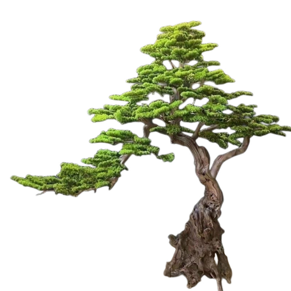 The faux welcome pine used as a photo backdrop prop at a wedding shoot