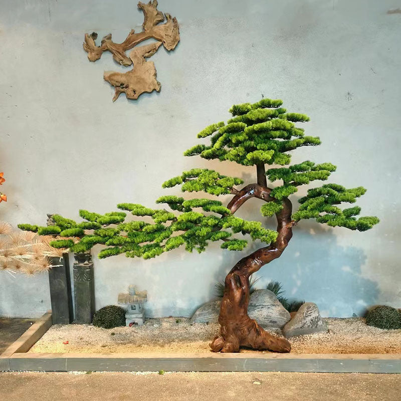 The curved trunk of the 3ft welcome pine rising from its shallow display pot