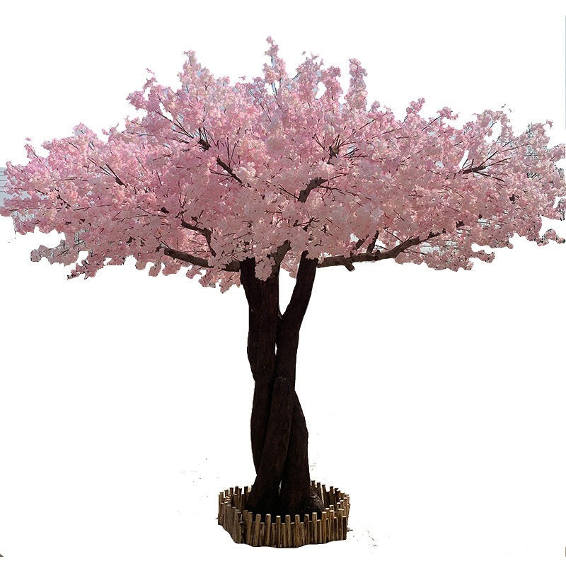 The sakura tree in a Japanese restaurant interior beside the dining counter