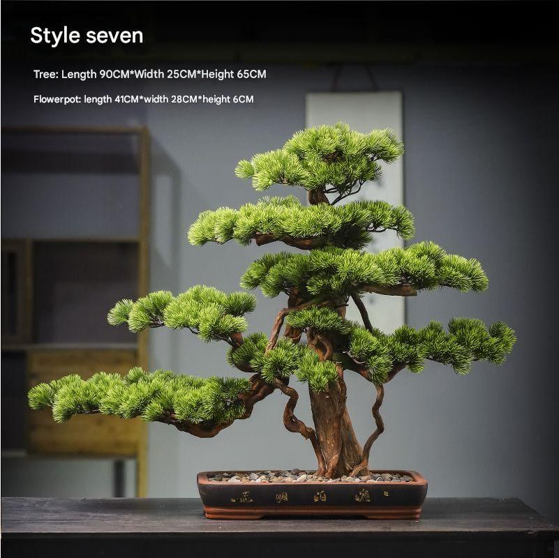 The 3ft bonsai in profile with its branches stepping out to one side of the pot