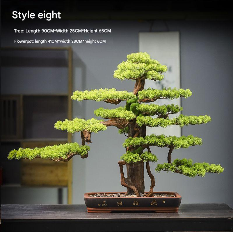 Close-up of a branch pad where it meets the sculpted trunk of the pine bonsai