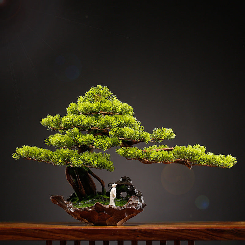 The lowest branch pad reaching out beyond the rim of the bonsai pot