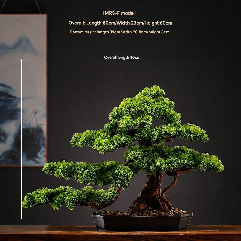 The bonsai seen from above with its branch pads opening out in tiers