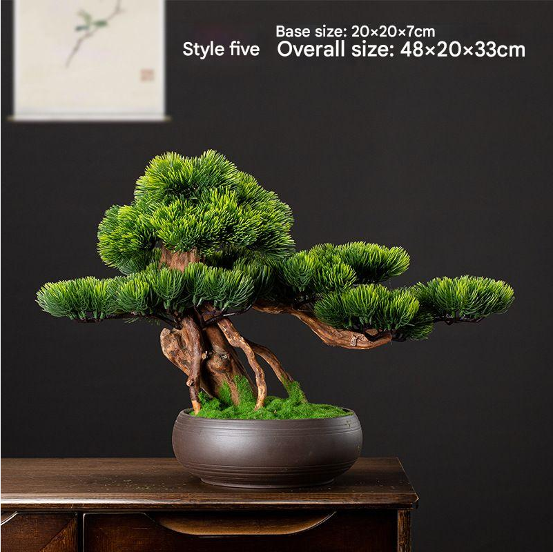 The moss finish spread across the potting surface at the base of the bonsai
