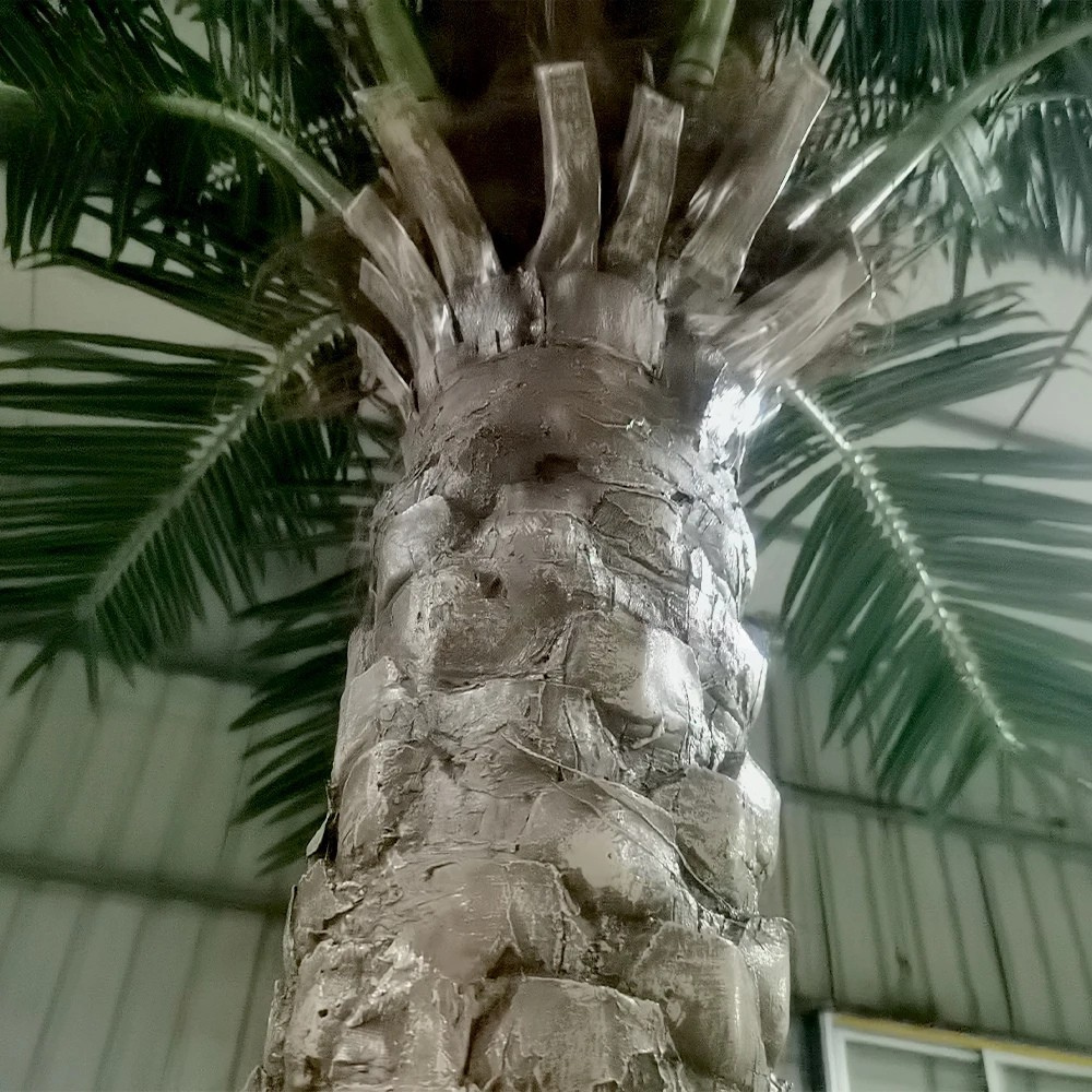 The palm crown seen from below, fronds radiating out in all directions