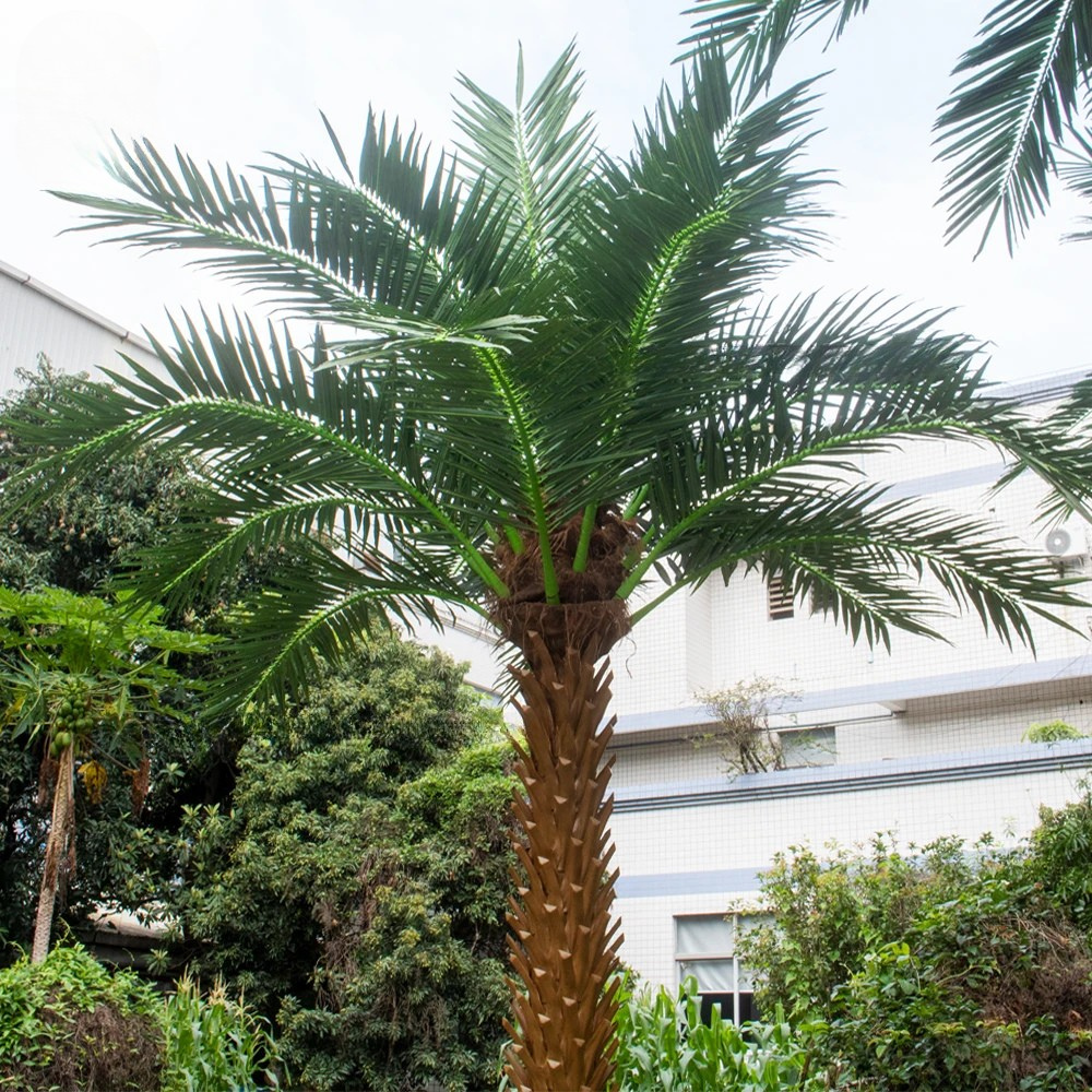 Close-up of the UV-resistant leaflets running along each date palm frond