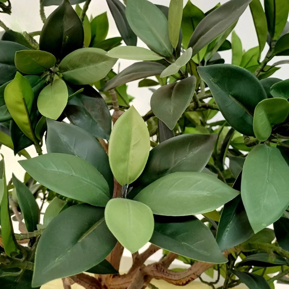 The mangrove used indoors as a themed landscape feature in a large lobby