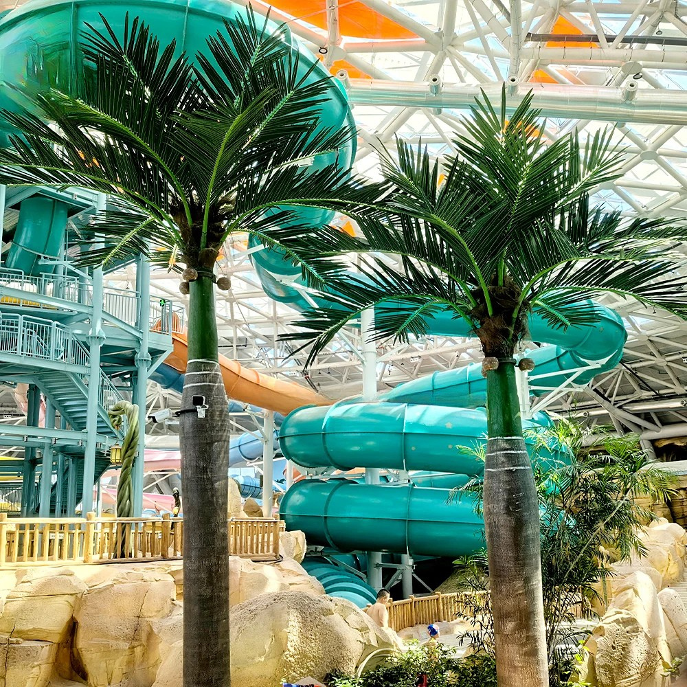 The same coconut tree planted outdoors beside a paved garden walkway