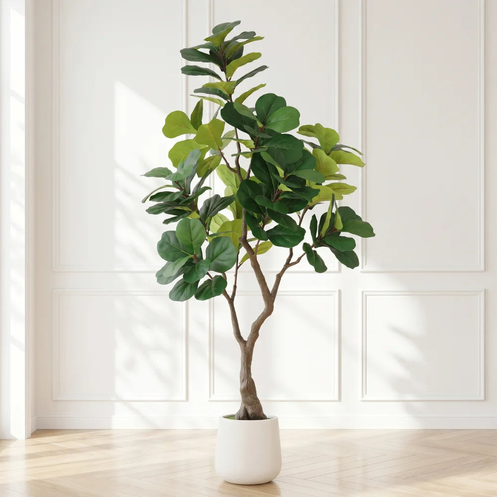 Artificial Fiddle Leaf Fig Tree — 6 ft, White Pot with Moss-Topped Soil