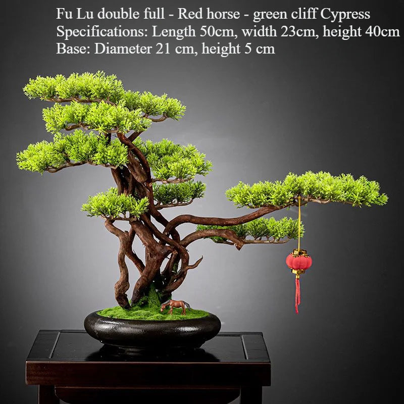 The 3ft bonsai photographed front-on against a plain studio backdrop