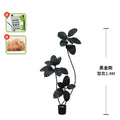 Artificial rubber tree 5ft tall, broad glossy green leaves on upright stems