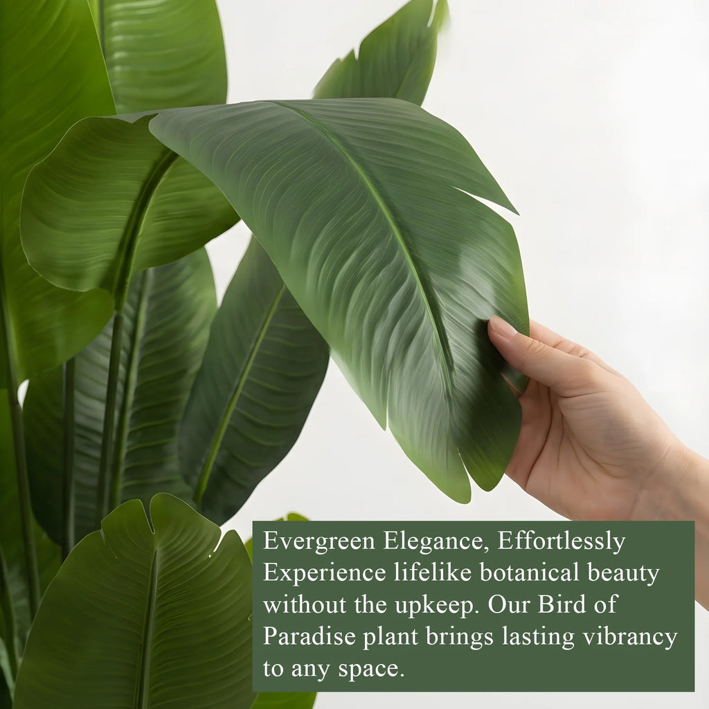 Artificial Bird of Paradise — 160 or 180 cm, Silk Leaves with Nursery Pot