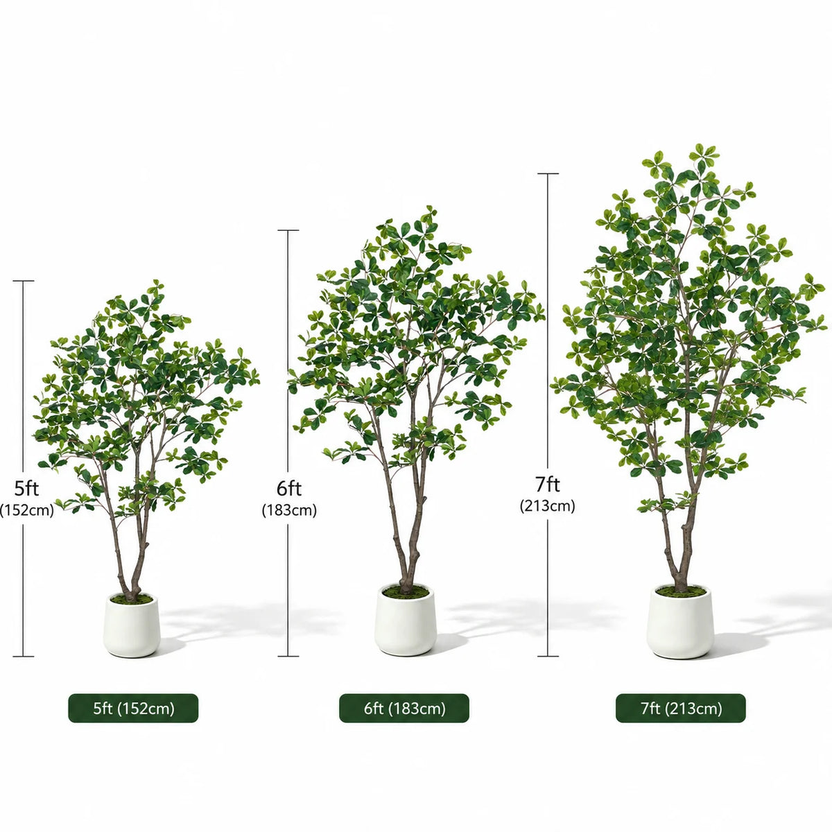 Artificial Black Olive Tree — 5 to 7 ft, PE Foliage, White Round Pot