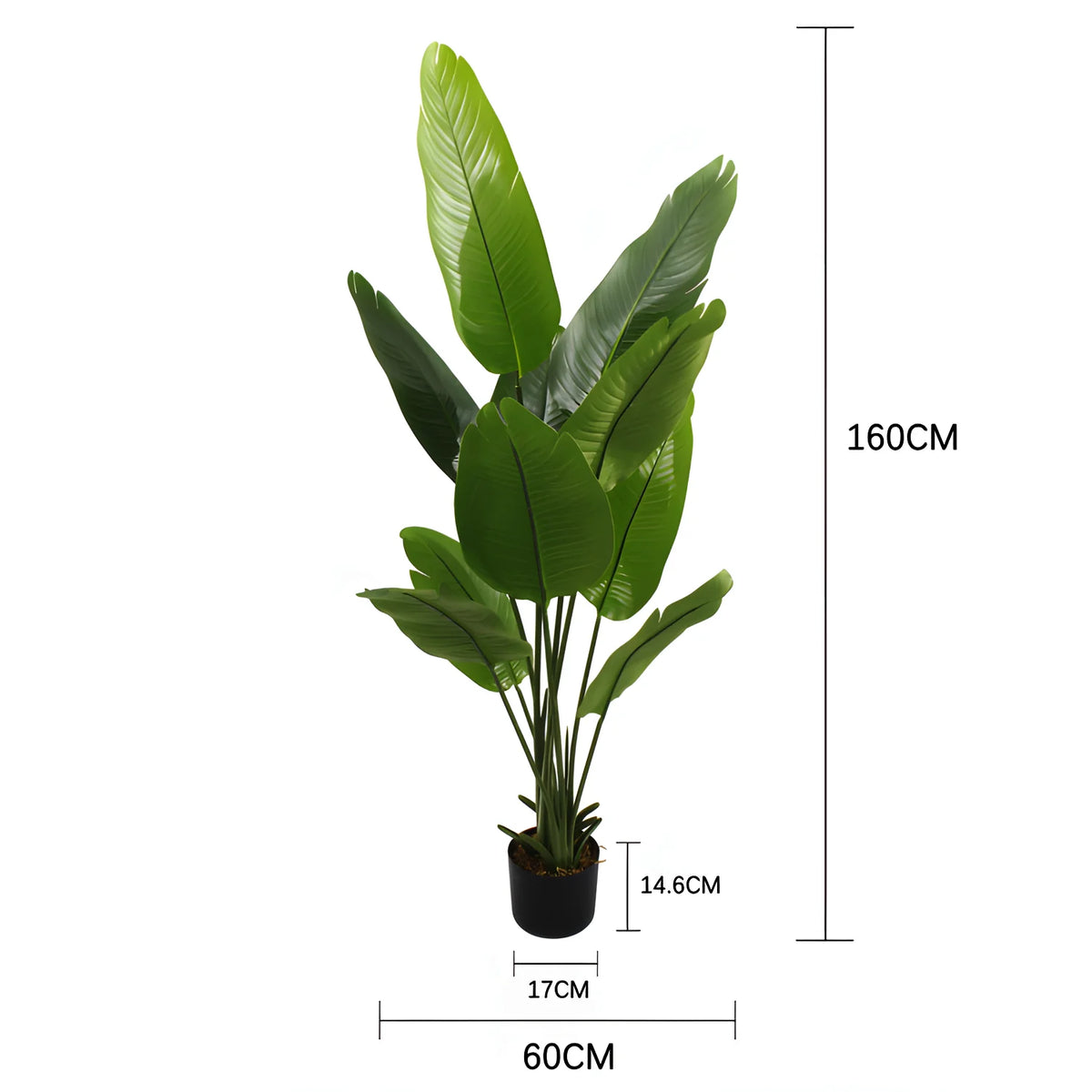 Artificial Bird of Paradise — 160 or 180 cm, Silk Leaves with Nursery Pot