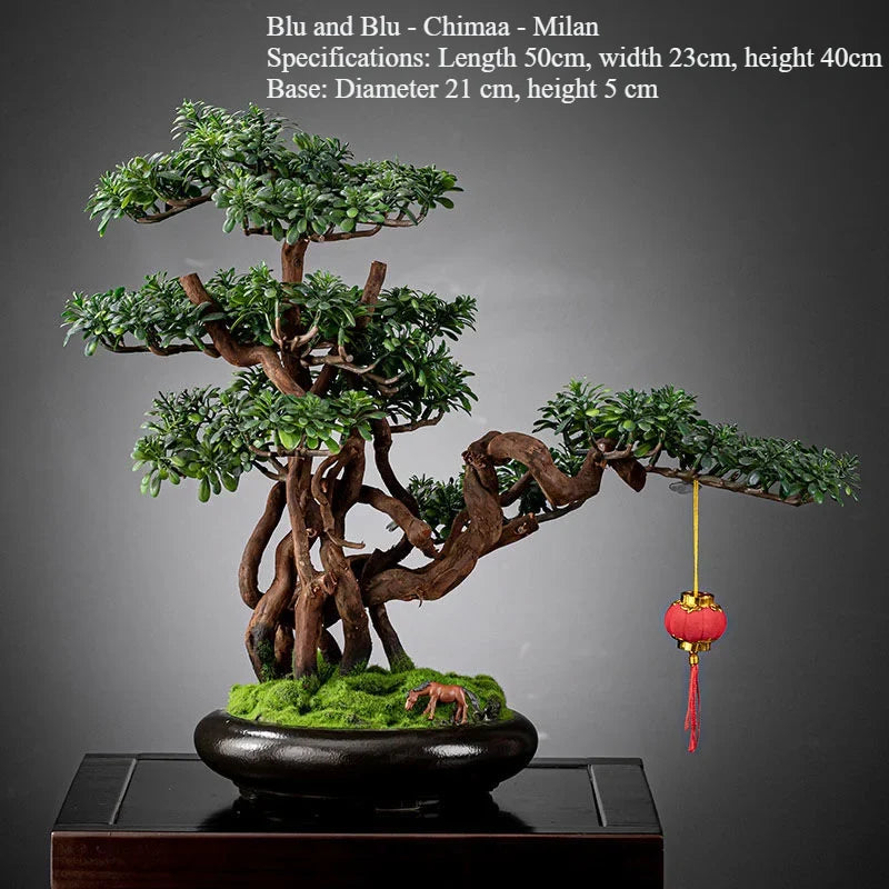 Needle tips of the pine bonsai foliage, fine and splayed at the ends