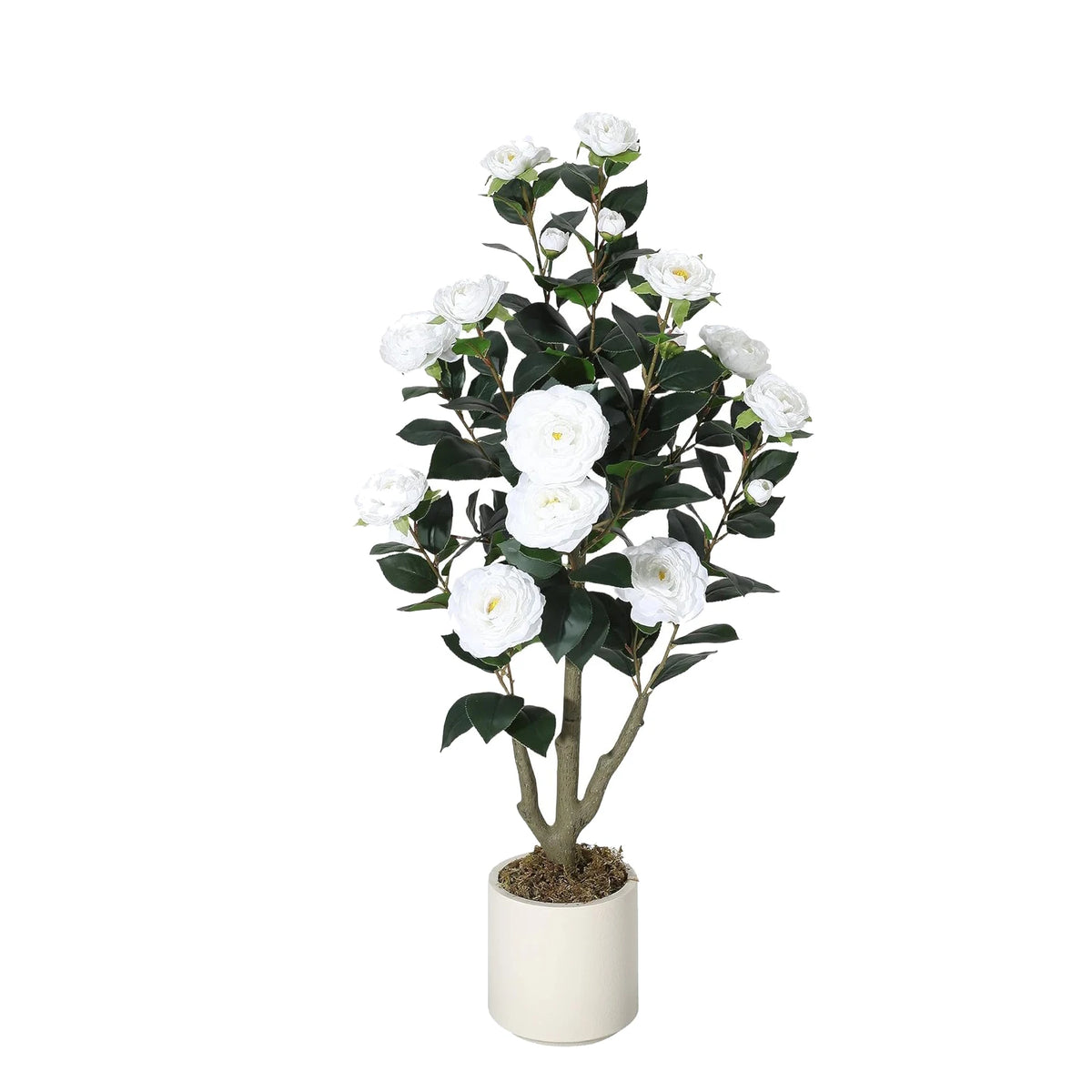Artificial Camellia Tree — 3 to 5 ft, Silk Flowers in Red or White